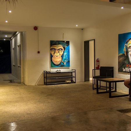 Wild Monkeys Hostel Moalboal Εξωτερικό φωτογραφία