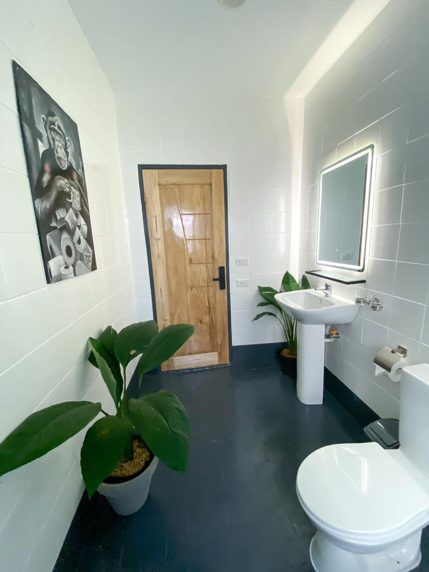 Wild Monkeys Hostel Moalboal Εξωτερικό φωτογραφία