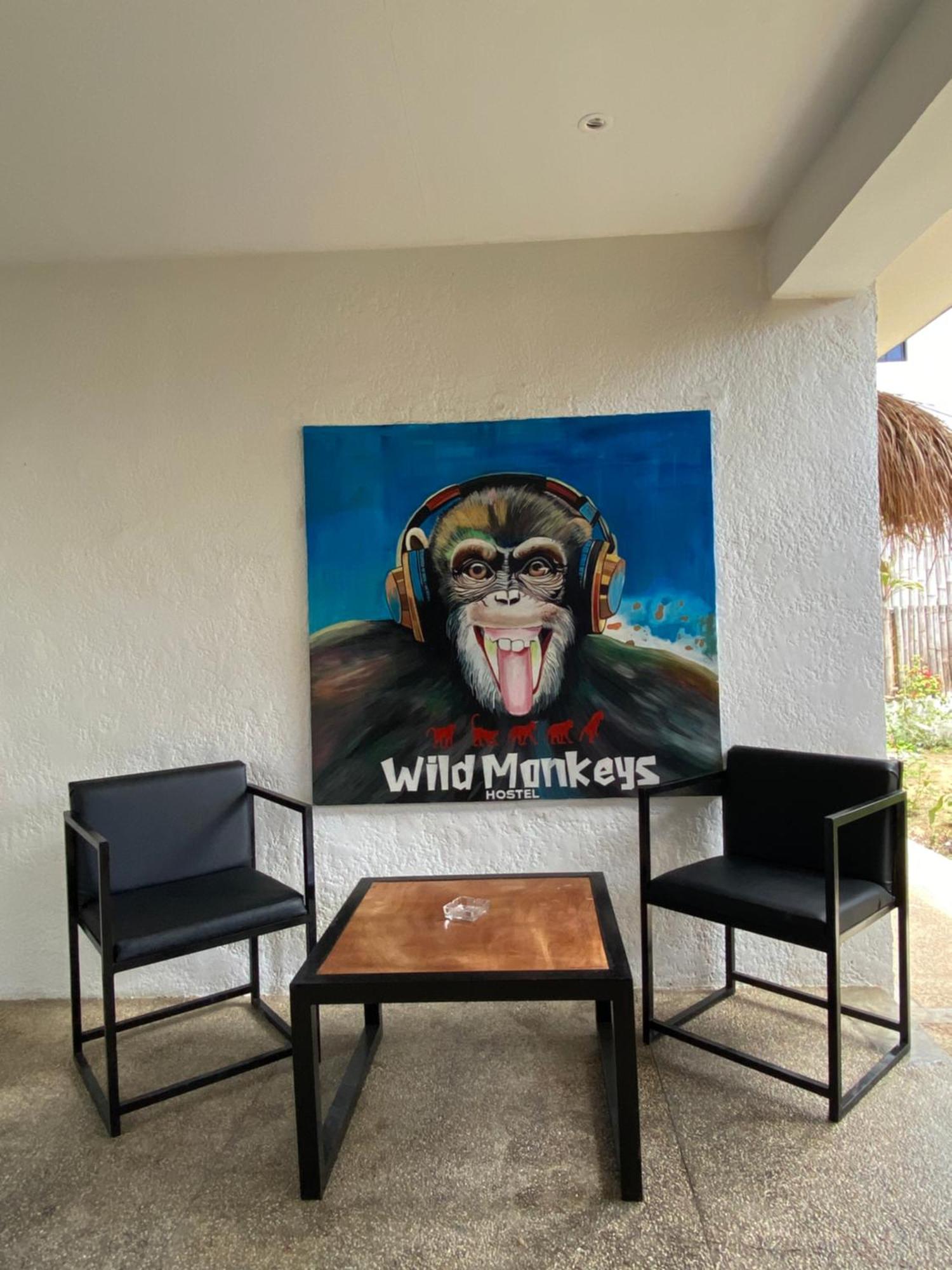 Wild Monkeys Hostel Moalboal Εξωτερικό φωτογραφία