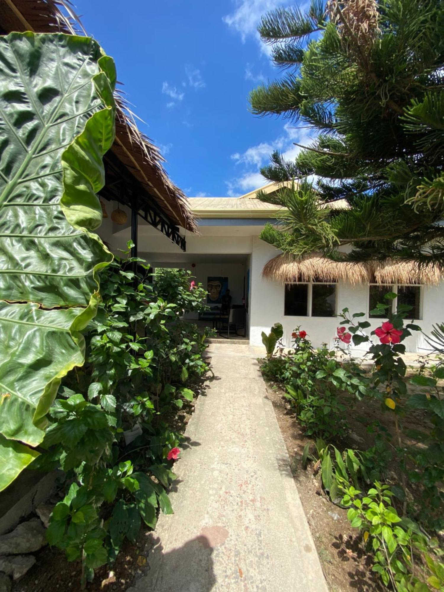 Wild Monkeys Hostel Moalboal Εξωτερικό φωτογραφία